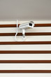 Security camera