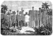 Stupa - View 19th century