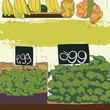 Fresh and organic fruit and vegetables at farmers market