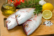 sea bream