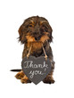 Dackel mit Schieferherz, Thank you!