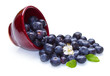 Photo: Blueberries in a bowl Blueberries in a bowl