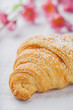 croissant on white
