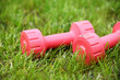 Pink female dumbbells on a grass
