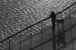 Woman and dog, Bilbao, Bizkaia, Basque Country, Spain