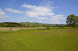 yorkshire wolds meadows
