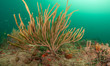 Photo: Under the water in Florida Under the water in Florida