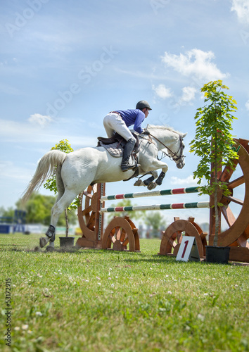 Photo: springreiten sportpferde springreiten sportpferde