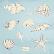 Vector Illustration of Hand-drawn Seashells