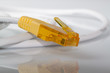 rj45 plug