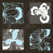 canvas print picture - Vector set of  iris flowers. Decorative elements