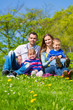 Happy family sitting in summer meadow