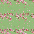 Seamless background with cherry tree sakura blossom