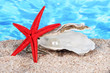 Open oyster with pearl on sand on water background
