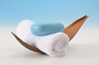 Photo: Wellness Blau Seife Wellness Blau Seife