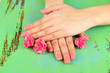 Woman hands with pink manicure and flowers, on color background