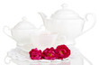 Rose tea isolated on white