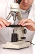 Photo: Caucasian Scientist At Work Using the Scientific Method Caucasian Scientist At Work Using the Scientific Method