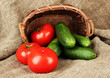 Tasty green cucumbers and red tomatoes in basket,