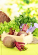 Young beets on wooden box on wooden table close-up