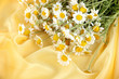 Foto: Many chamomile on yellow cloth background Many chamomile on yellow cloth background
