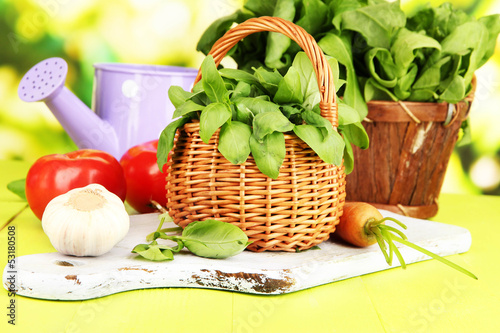 Photo: Fresh herb in basket on wooden table on natural background Fresh herb in basket on wooden table on natural background