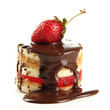 Tasty biscuit cake with chocolate and berry isolated on white
