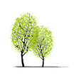 Vector: Two spring trees for your design Two spring trees for your design