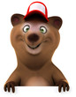 Fun bear