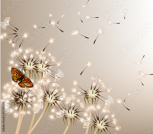 Fototapeta Abstract background with vector dandelions