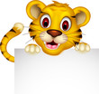 cute baby tiger posing with sign
