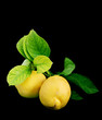 Lemons