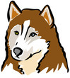 Husky