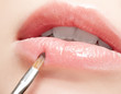 lips makeup
