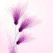 Vektor: vector background with flowers vector background with flowers