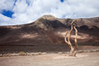 Southern Fuereteventura, Gran Valle