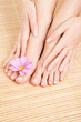 care for beautiful woman legs