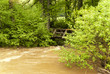 On the Hiking Trail Eifelsteig