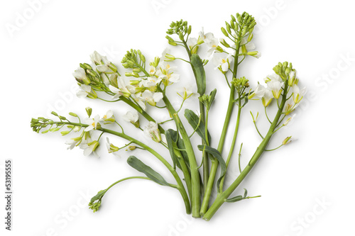 Photo: Chinese broccoli Chinese broccoli