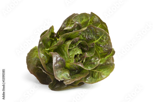 Photo: Little Gem lettuce Little Gem lettuce