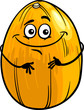 funny melon fruit cartoon illustration