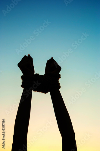Photo: Hands tied up with rope Hands tied up with rope