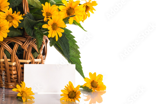Photo: Heliopsis Heliopsis