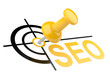 push pin with SEO target