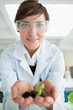 Smiling woman holding tiny plant