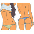 Beautiful woman bodies in bikini vector