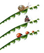 Photo: dew drop with snail,butterfly and ladybugs dew drop with snail,butterfly and ladybugs