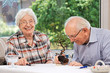 Senior couple playing Yahtzee