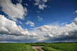 rural lansdscape