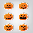 Pumpkins For Halloween.